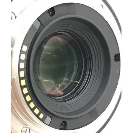 SIGMA (シグマ) 単焦点レンズ 16mm F1.4 DC DN 16 mm F1.4 ソニーマウント 55694337