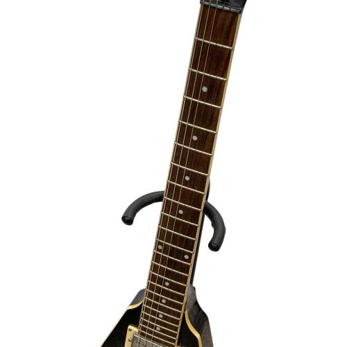 HAMER (ヘイマー) エレクトリックギター VECTOR XT SERIES エレキギター 6811060