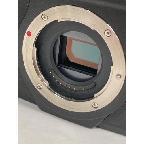 Panasonic (パナソニック) デジタル一眼レフカメラ 1684万画素(総画素) DMC-G8M LUMIX（ルミックス）