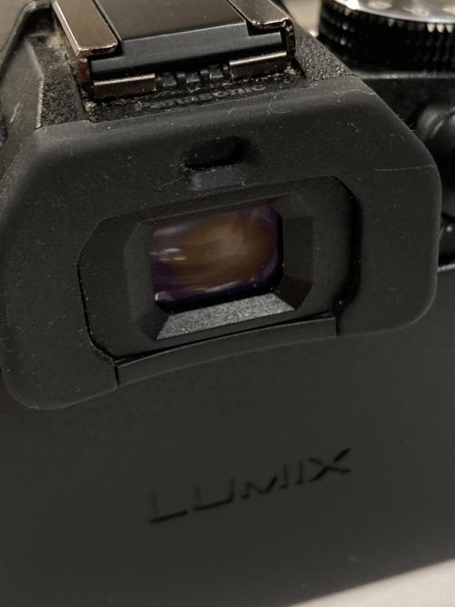 Panasonic (パナソニック) デジタル一眼レフカメラ 1684万画素(総画素) DMC-G8M LUMIX（ルミックス）