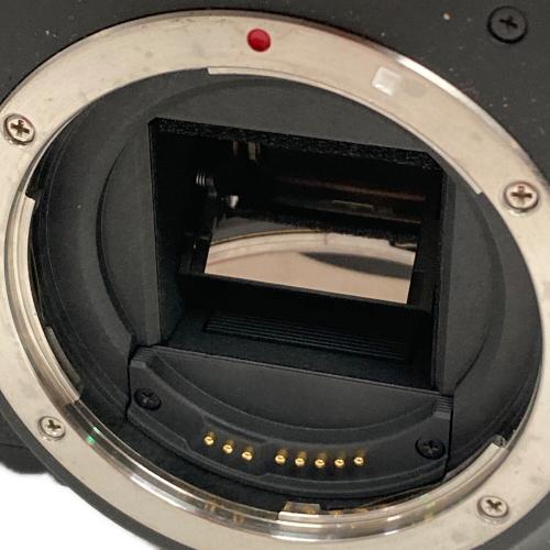 CANON (キヤノン) デジタル一眼レフカメラ EOS Kiss X5 DS126311 レンズ：EF-S 55-250mm 1:4-5.6 IS Ⅱ φ58mm / EF-S 18-55mm 1:3.5-5.6 IS Ⅱ φ58