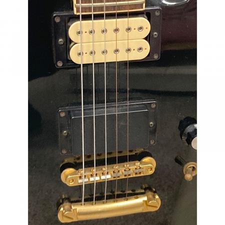 FERNANDES (フェルナンデス) エレクトリックギター