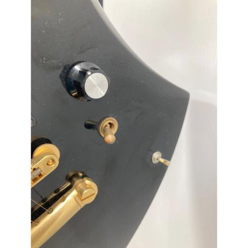 FERNANDES (フェルナンデス) エレクトリックギター モッキンバード MG-80X エレキギター