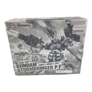 BANDAI (バンダイ) プラモデル ガンダムストームブリンガーP.F MG 1/100 645075-2704809 ガンプラ
