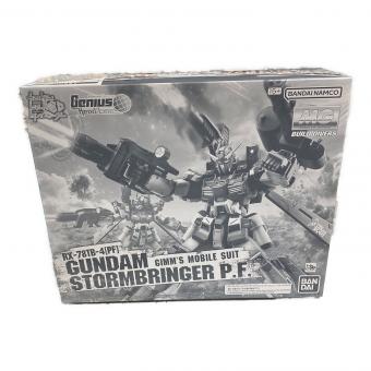 BANDAI (バンダイ) プラモデル ガンダムストームブリンガーP.F MG 1/100 645075-2704809 ガンプラ