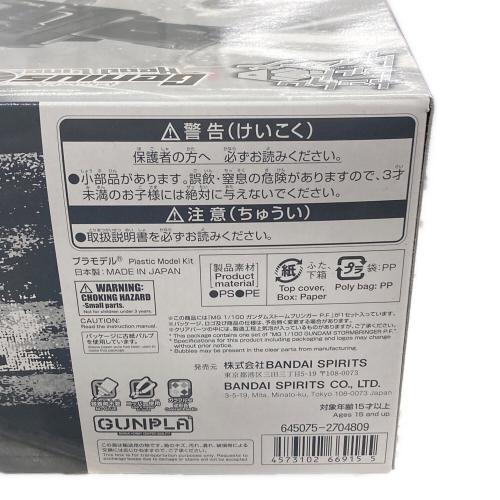 BANDAI (バンダイ) プラモデル ガンダムストームブリンガーP.F MG 1/100 645075-2704809 ガンプラ
