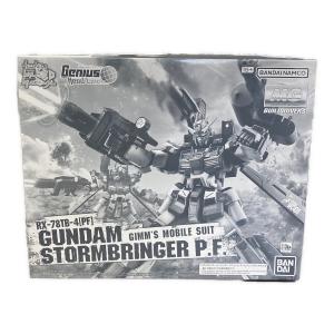 BANDAI (バンダイ) プラモデル ガンダムストームブリンガーP.F MG 1/100 645075-2704809 ガンプラ