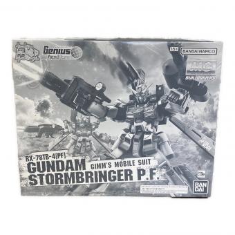BANDAI (バンダイ) プラモデル ガンダムストームブリンガーP.F MG 1/100 645075-2704809 ガンプラ