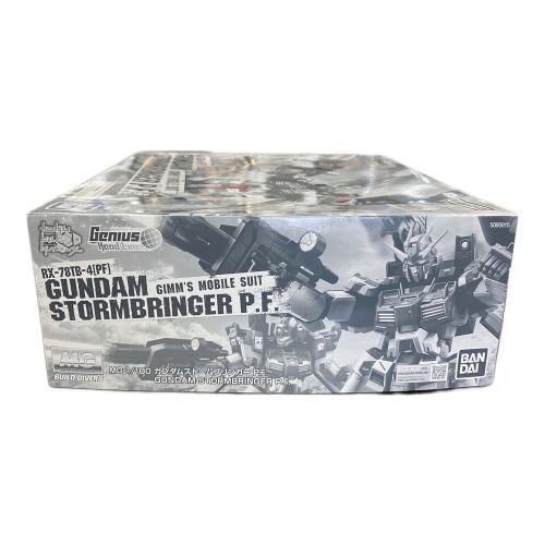 BANDAI (バンダイ) プラモデル ガンダムストームブリンガーP.F MG 1/100 645075-2704809 ガンプラ