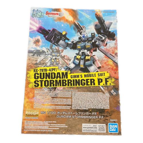 BANDAI (バンダイ) プラモデル ガンダムストームブリンガーP.F MG 1/100 645075-2704809 ガンプラ