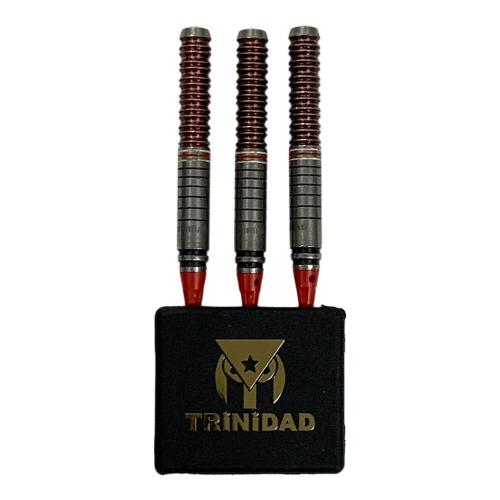 TRINIDAD（トリニダード） ダーツ ゴメス16 山田勇樹モデル 2BA 22.6g