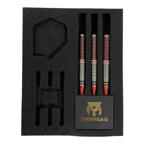 TRINIDAD（トリニダード） ダーツ ゴメス16 山田勇樹モデル 2BA 22.6g