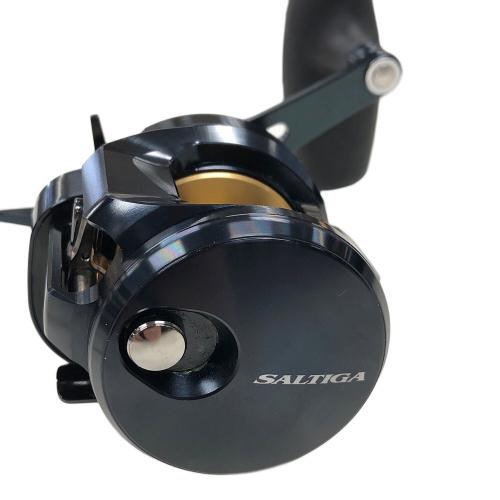 DAIWA (ダイワ) ベイトリール 25 SALTIGA 300H (ソルティガ) 右ハンドル 352874