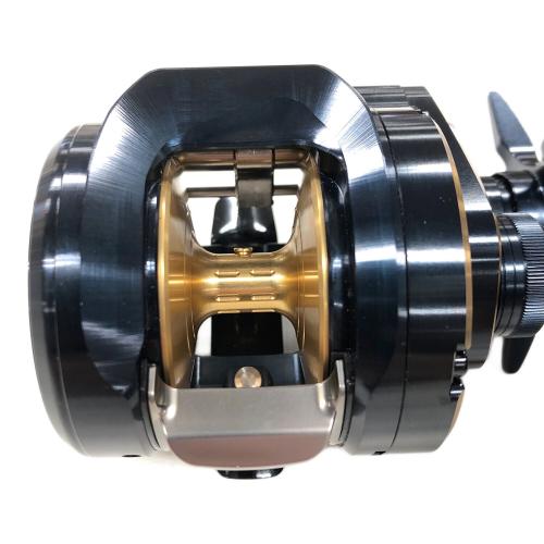 DAIWA (ダイワ) ベイトリール 25 SALTIGA 300H (ソルティガ) 右ハンドル 352874