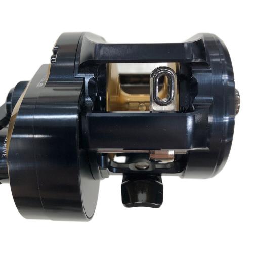 DAIWA (ダイワ) ベイトリール 25 SALTIGA 300H (ソルティガ) 右ハンドル 352874