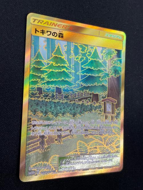 トキワの森 ポケモンカード 068/054 UR SM10ｂ「スカイレジェンド」