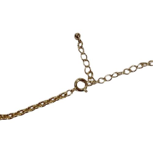 BANDAI（バンダイ） 花京院モデルペンダント ジョジョの奇妙な冒険 アクセサリーコレクション