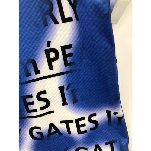 PEARLY GATES (パーリーゲイツ) ゴルフウェア(トップス) スプレー柄ポロシャツ 055-4260810 レディース SIZE 2 ブルー×ホワイト