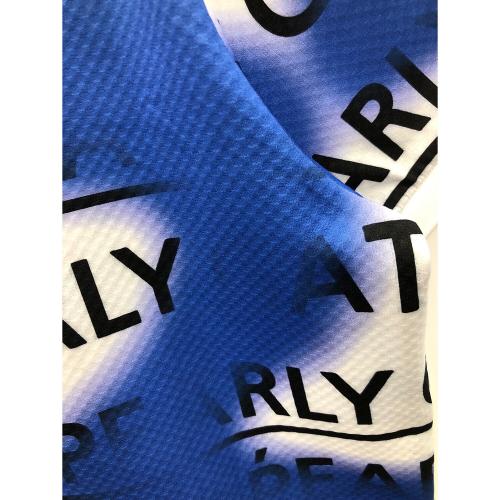 PEARLY GATES (パーリーゲイツ) ゴルフウェア(トップス) スプレー柄ポロシャツ 055-4260810 レディース SIZE 2 ブルー×ホワイト