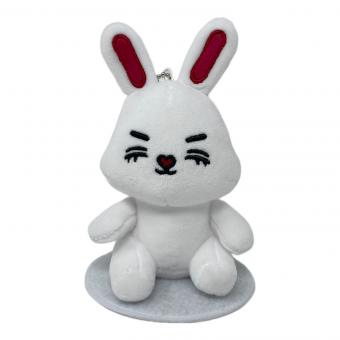 SEVENTEEN（セブンティーン） 「MINITEEN（ミニティーン）」 CHOITCHCHERRY（チョイッチチェリー） マグネットプラッシュキーリング  ぬいぐるみマスコット