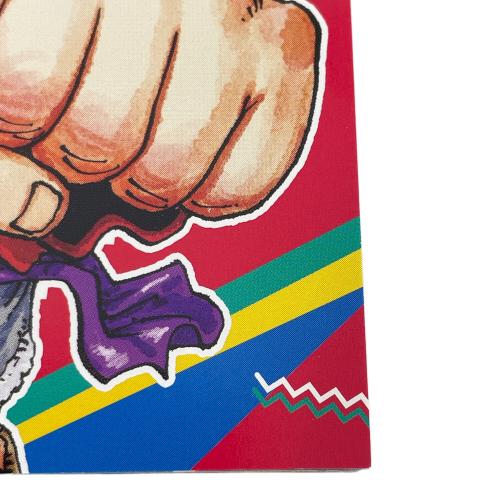 集英社 (シュウエイシャ) ポケモン×ワンピース ポストカード 週刊少年ジャンプ×Pokémonメガシンカプレゼント