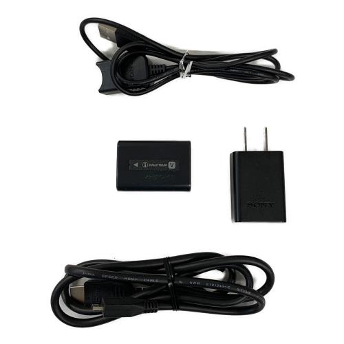 SONY (ソニー) デジタルビデオカメラ Handycam HDR-CX680 2023年製