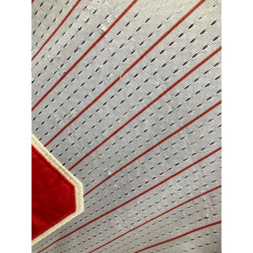 広島東洋カープ (ヒロシマトウヨウカープ) DESCENTE（デサント） ユニフォーム 応援グッズ 10番 グレー×レッド