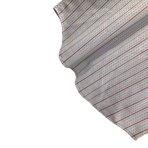 広島東洋カープ (ヒロシマトウヨウカープ) DESCENTE（デサント） ユニフォーム 応援グッズ 10番 グレー×レッド