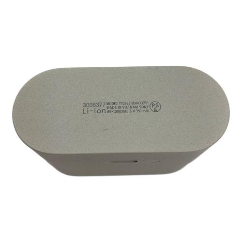 SONY (ソニー) ワイヤレスイヤホン YY2985 WF-1000XM6