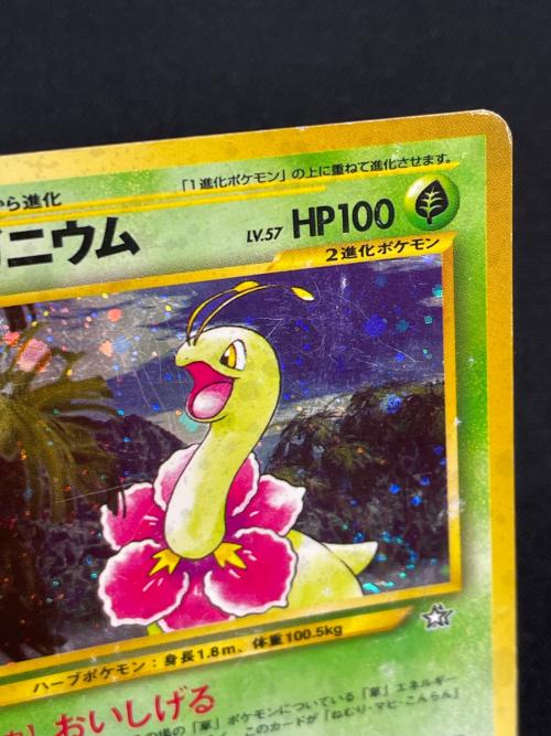 メガニウム LV.57 HP100 ポケモンカード No.154 ★ 旧裏面