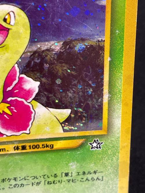 メガニウム LV.57 HP100 ポケモンカード No.154 ★ 旧裏面