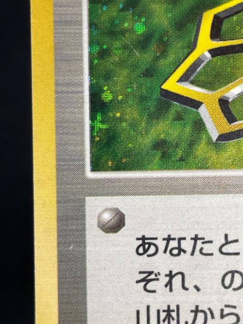 エリカ ポケモンカード 旧裏面