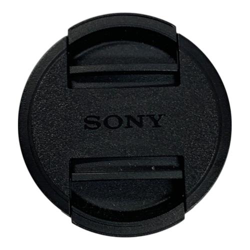 SONY (ソニー) デジタル一眼レフカメラ ZV-E10 2420万画素