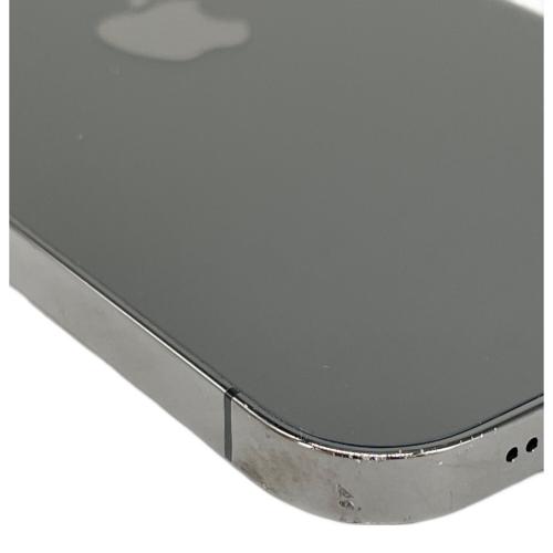 Apple iPhone12 Pro Max iOS