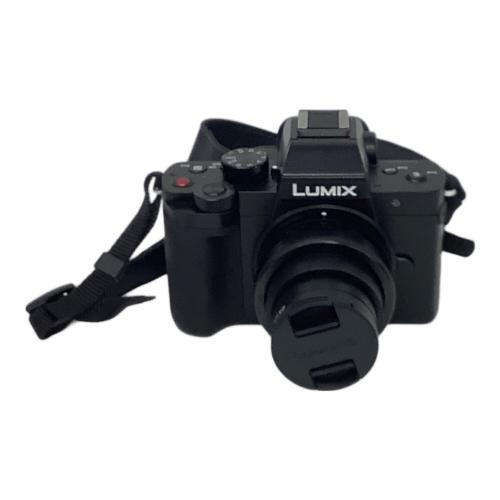 Panasonic (パナソニック) LUMIX G100D Wキット ダブルズームレンズ