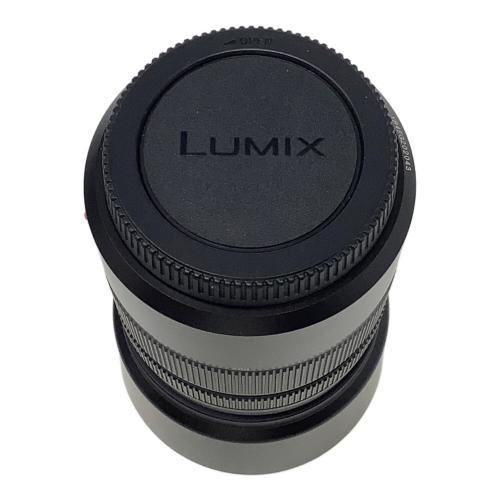 Panasonic (パナソニック) LUMIX G100D Wキット ダブルズームレンズキット DC-G100DW-K