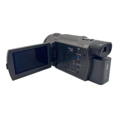 SONY (ソニー) デジタルビデオカメラ FDR-AXP35
