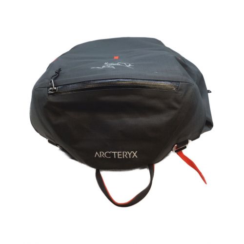 ARC'TERYX (アークテリクス) リュック ブラック ALPHA SK 32