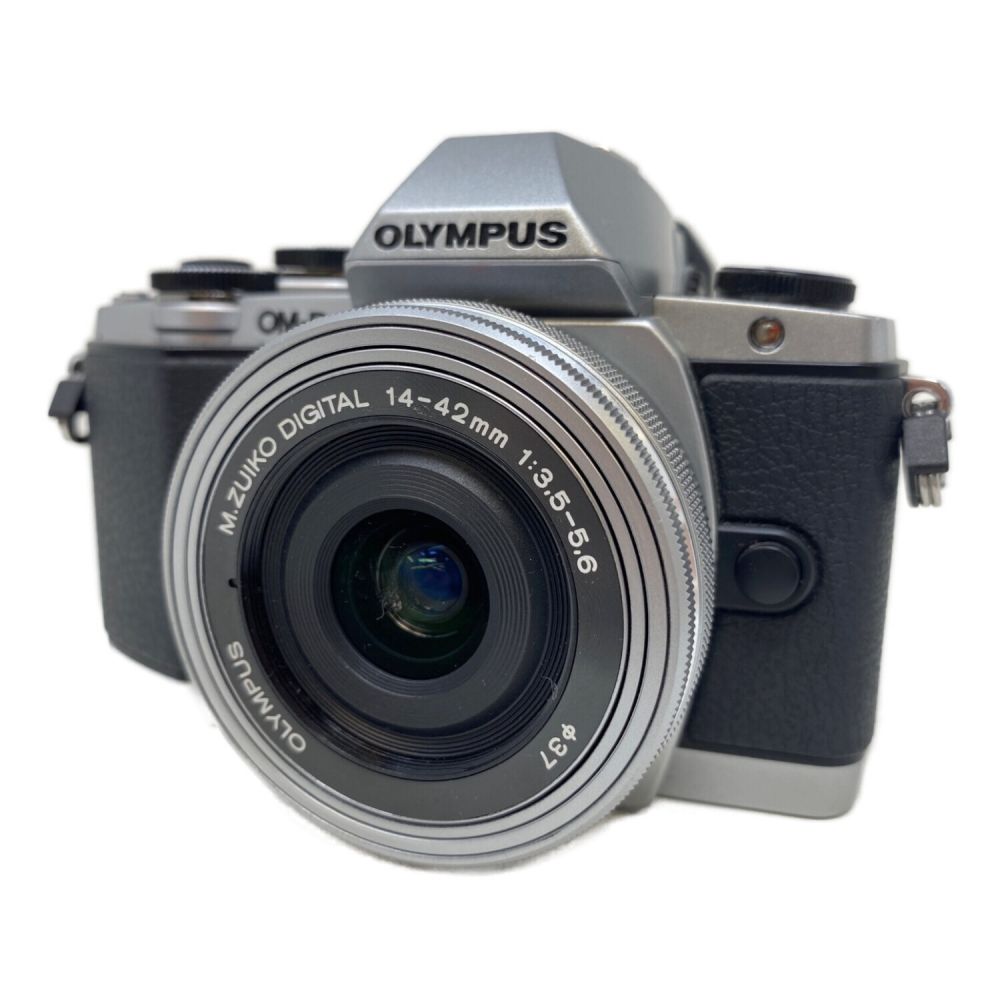 OLYMPUS (オリンパス) ミラーレス一眼カメラ E-M10 1720万画素 専用 