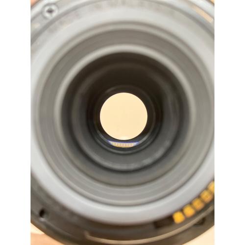 CANON (キヤノン) ズームレンズ EF-S 55-250㎜ F4-5.6 キャノン