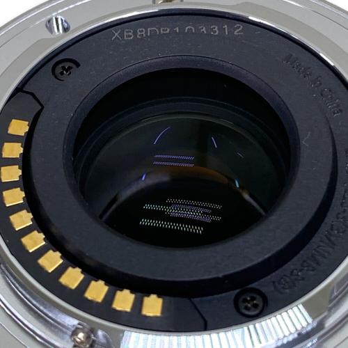 Panasonic (パナソニック) デジタル一眼カメラ/ダブルレンズキット DC-GF10