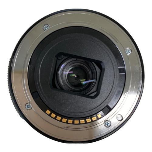 SONY (ソニー) デジタル一眼レフカメラ α6300 パワーズームレンズキット