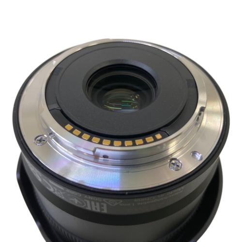 SONY (ソニー) 単焦点レンズ SEL11F18