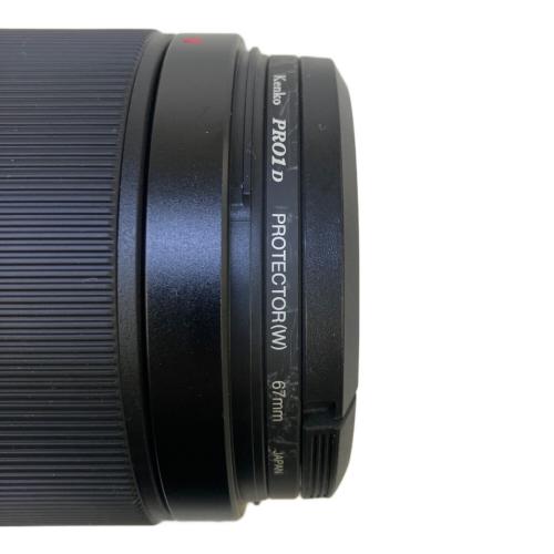 SONY (ソニー) 超望遠ズームレンズ SEL70350G