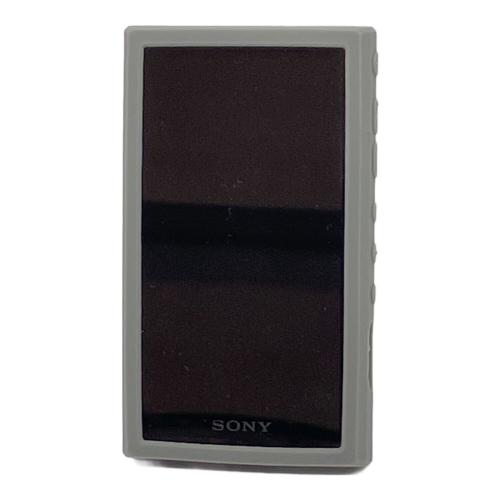 SONY (ソニー) WALKMAN NW-A306 YY1301B1