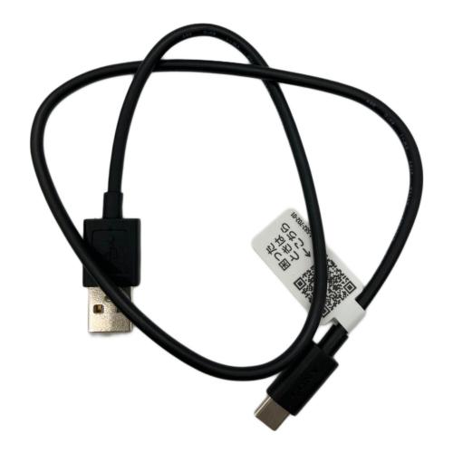 SONY (ソニー) WALKMAN NW-A306 YY1301B1