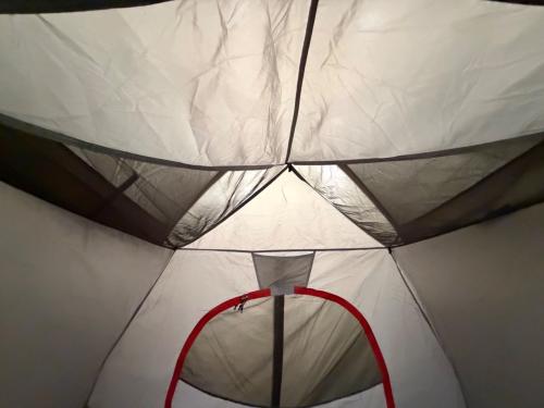 THE NORTH FACE (ザ ノース フェイス) ドームテント NV22206 ランダー2