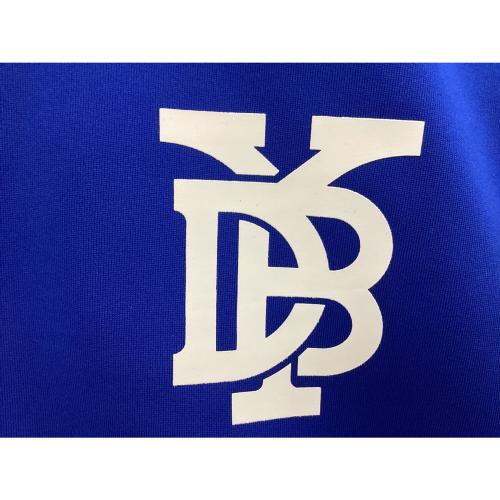 横浜DeNAベイスターズ (ヨコハマディーエヌエーベイスターズ) 応援