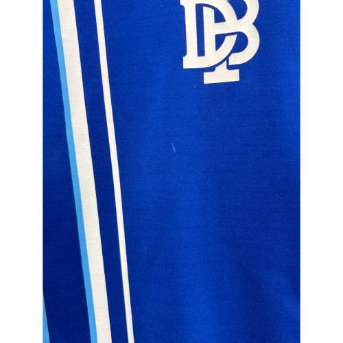 横浜DeNAベイスターズ (ヨコハマディーエヌエーベイスターズ) 応援グッズ ブルー DESCENTE製 プルオーバーパーカー DX-A2400PC