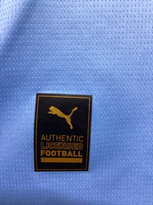 PUMA (プーマ) サッカーユニフォーム メンズ SIZE XL ブルー マンチェスターシティ 23/24 ユニフォーム ホーム 770439-01